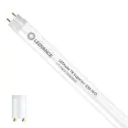 Ledvance LED Röhre T8 Superior (EM/Mains) High Output 17.7W 3100lm - 865 Tageslichtweiß | 150cm - Ersatz Für 58W